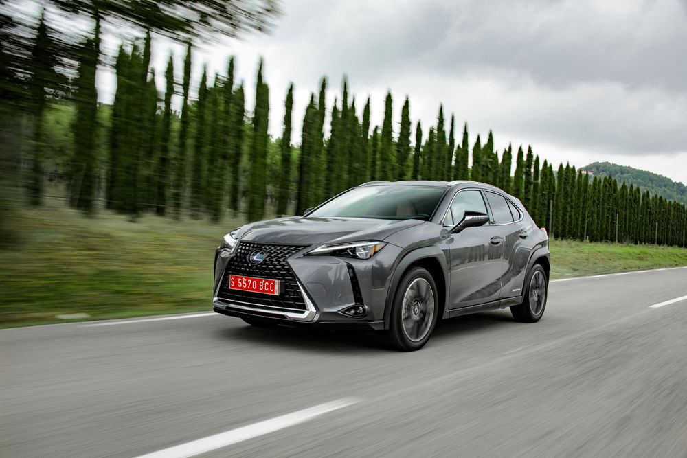 2019_Lexus_UX_250h_Grey_Dyn_18.JPG